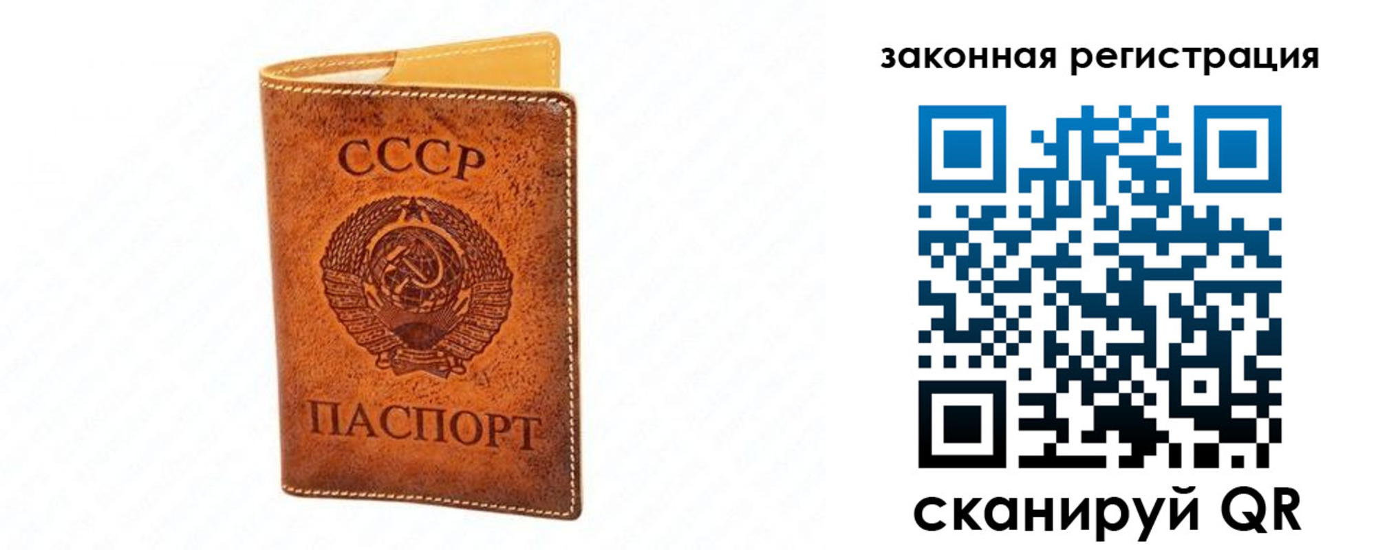 прописка паспорт в Калининградской области